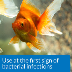 API FIN & BODY CURE packets-ten-count for dosing in freshwater tanks.