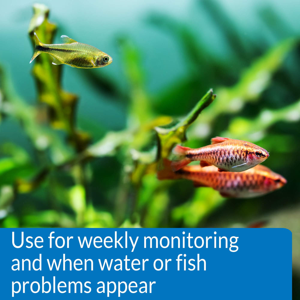 API Freshwater Master Test Kit ammonia test drops for detecting waste-related changes.
