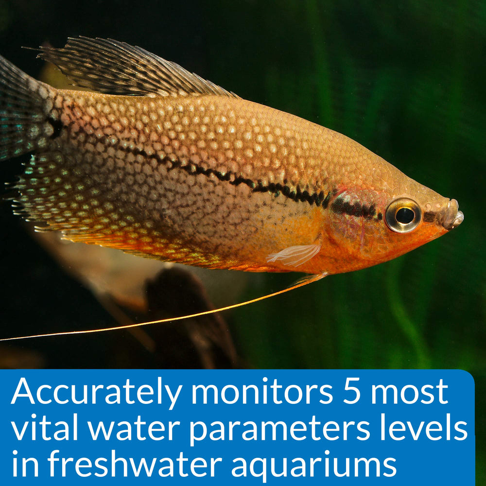 API Freshwater Master Test Kit high-range pH test helps monitor alkalinity shifts.