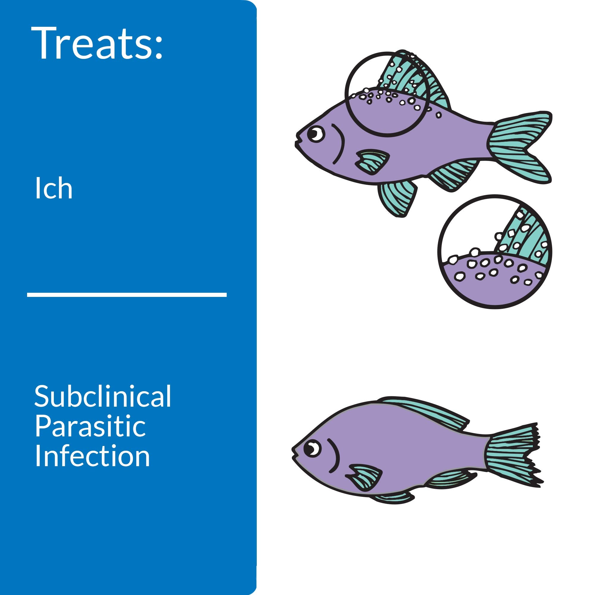 API Liquid Super ICK Cure label detail with dosage and precautions