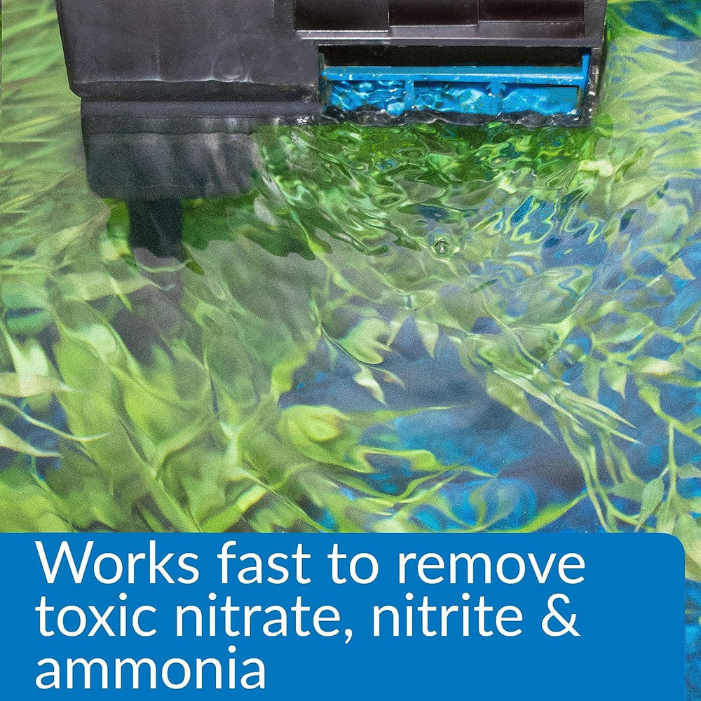 API NITRA-ZORB pouch in canister filter demonstrates straightforward maintenance.