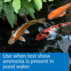 API POND AMMO-LOCK label-closeup of ingredients that detoxify ammonia for healthy pond water.