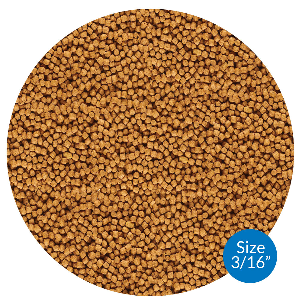 API POND COOL WATER FOOD pellets close-up highlighting high-protein formula for efficient feeding.