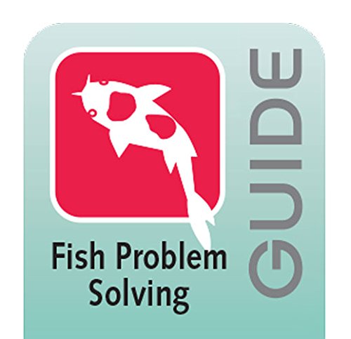 API POND MELAFIX fish-care-scene with healthy fins in a calm pond