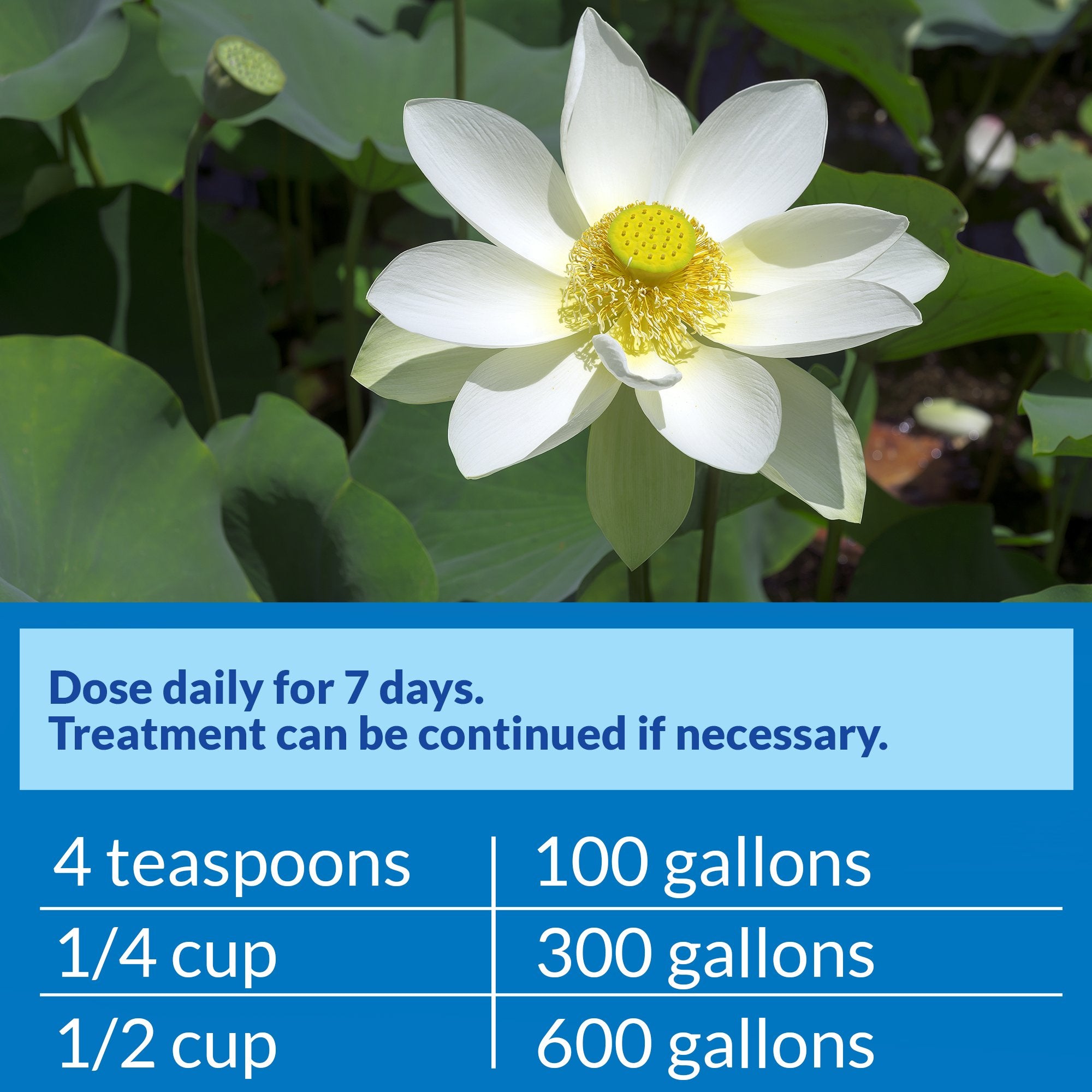 API POND PIMAFIX bay tree extract highlighting natural ingredient