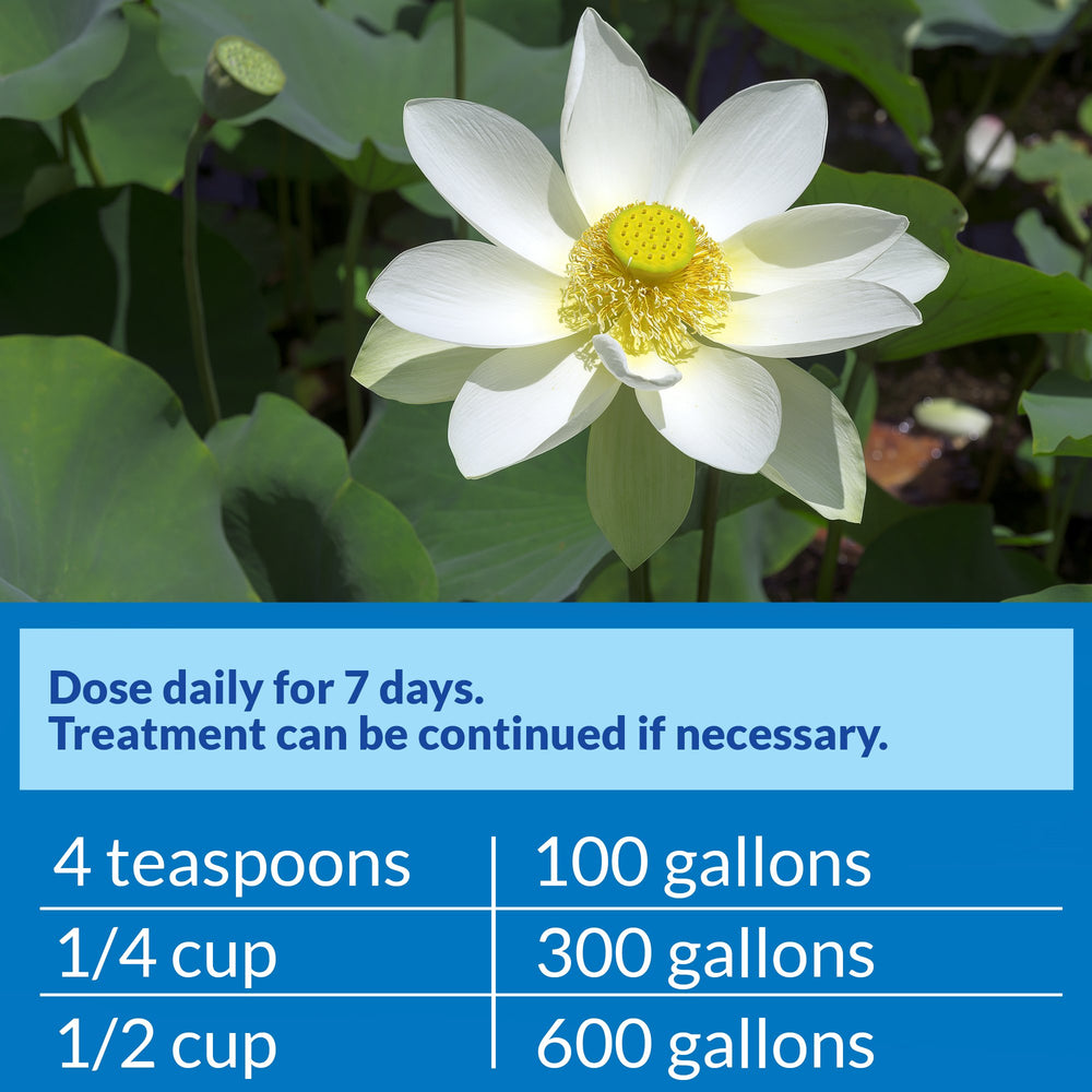 API POND PIMAFIX bay tree extract highlighting natural ingredient