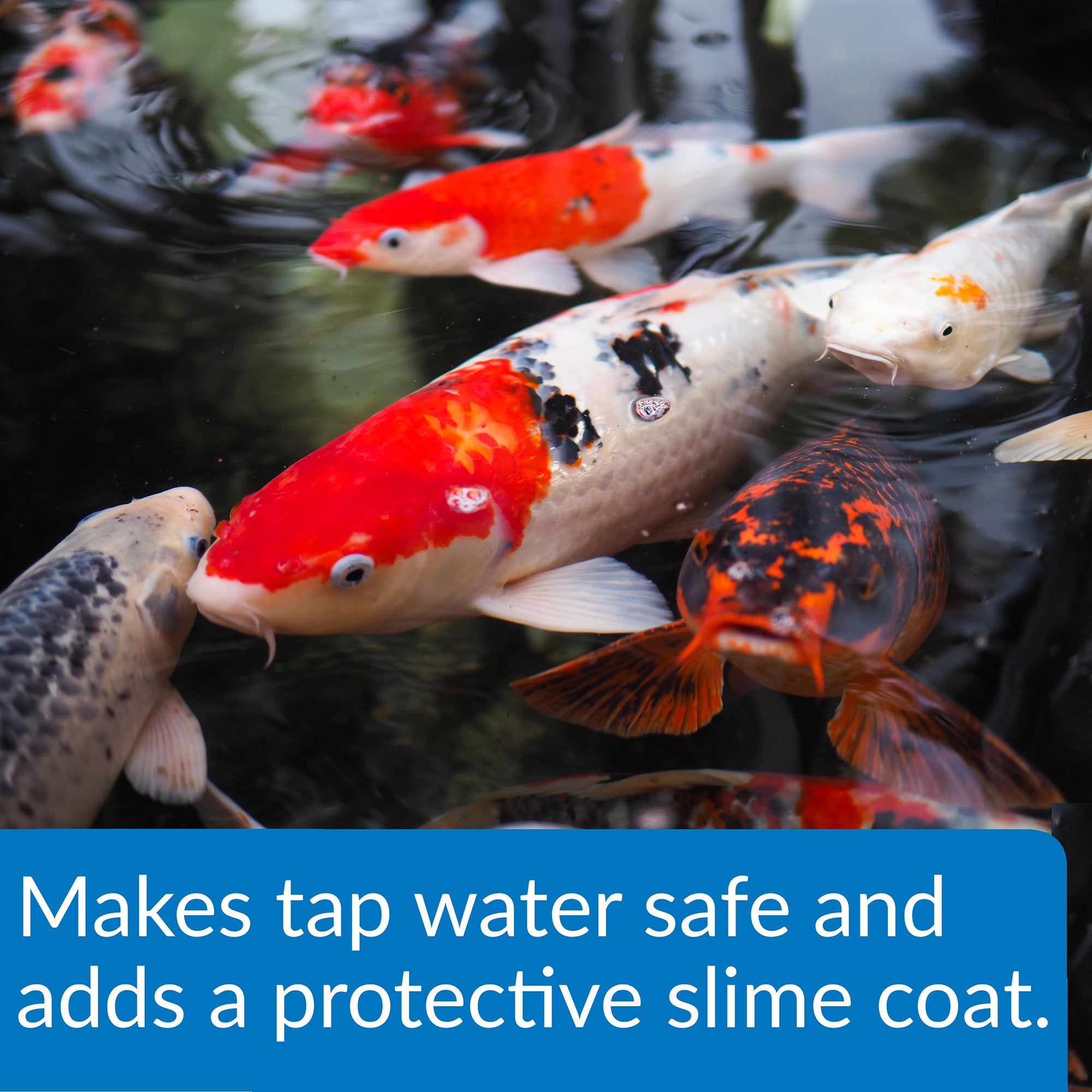 API POND STRESS COAT pour action demonstrates easy water conditioning during changes