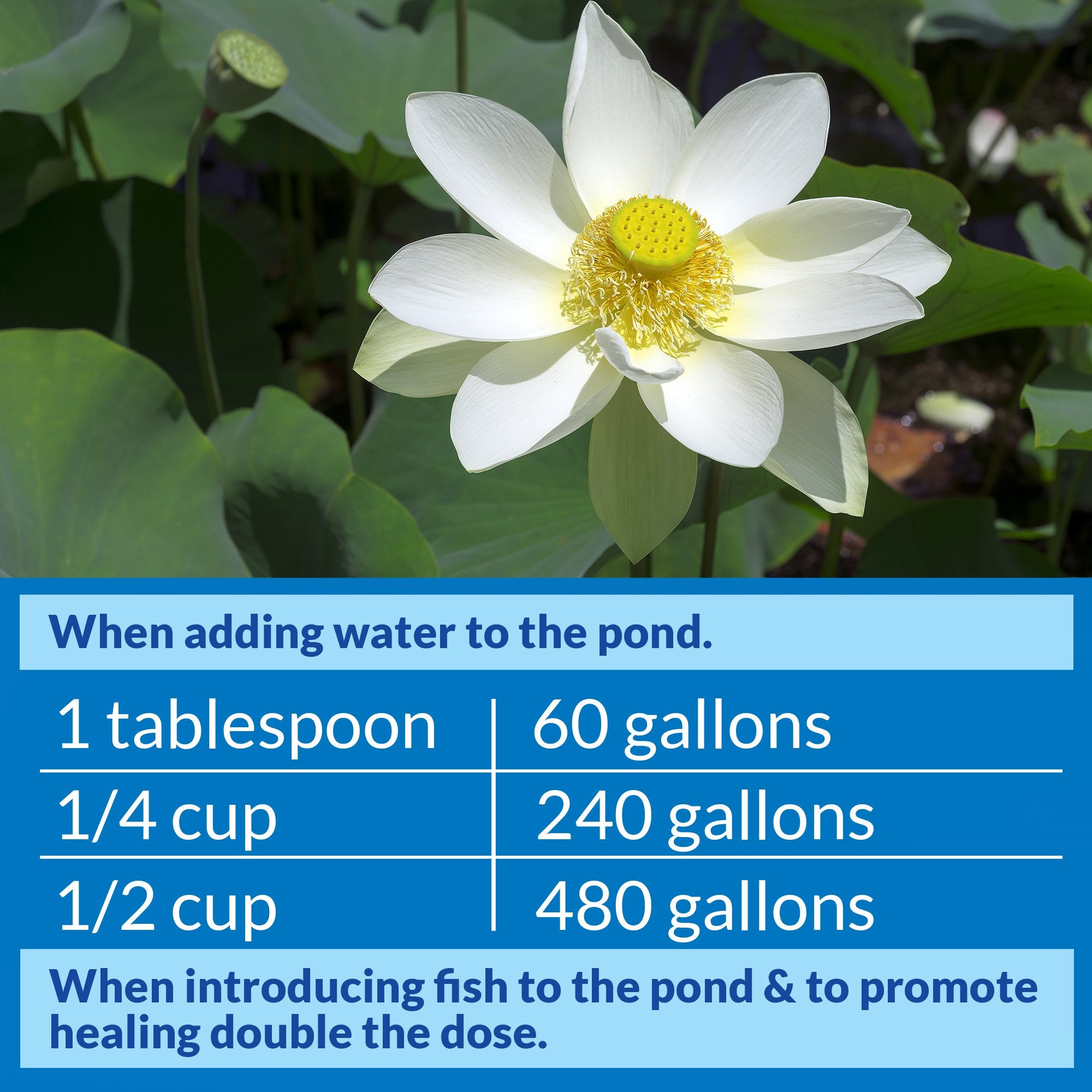 API POND STRESS COAT is safe for pond plants, wildlife and pets when used as directed.