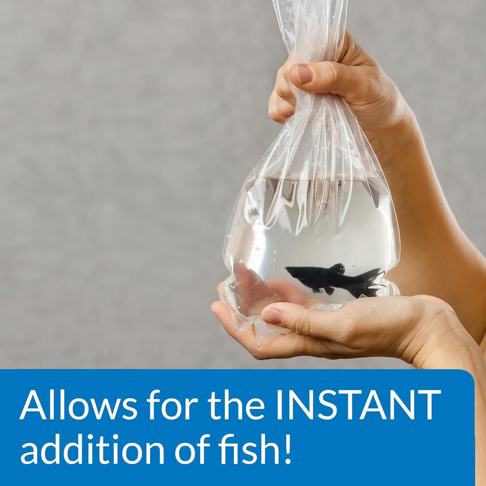 API Quick Start bottle in water helps start the aquarium cycle.