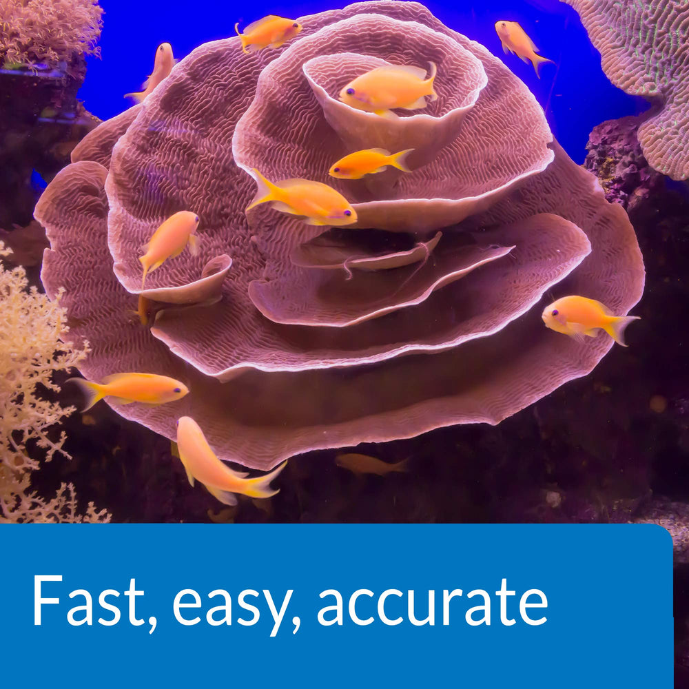 API Saltwater Master Test Kit supports weekly checks for safer aquariums.