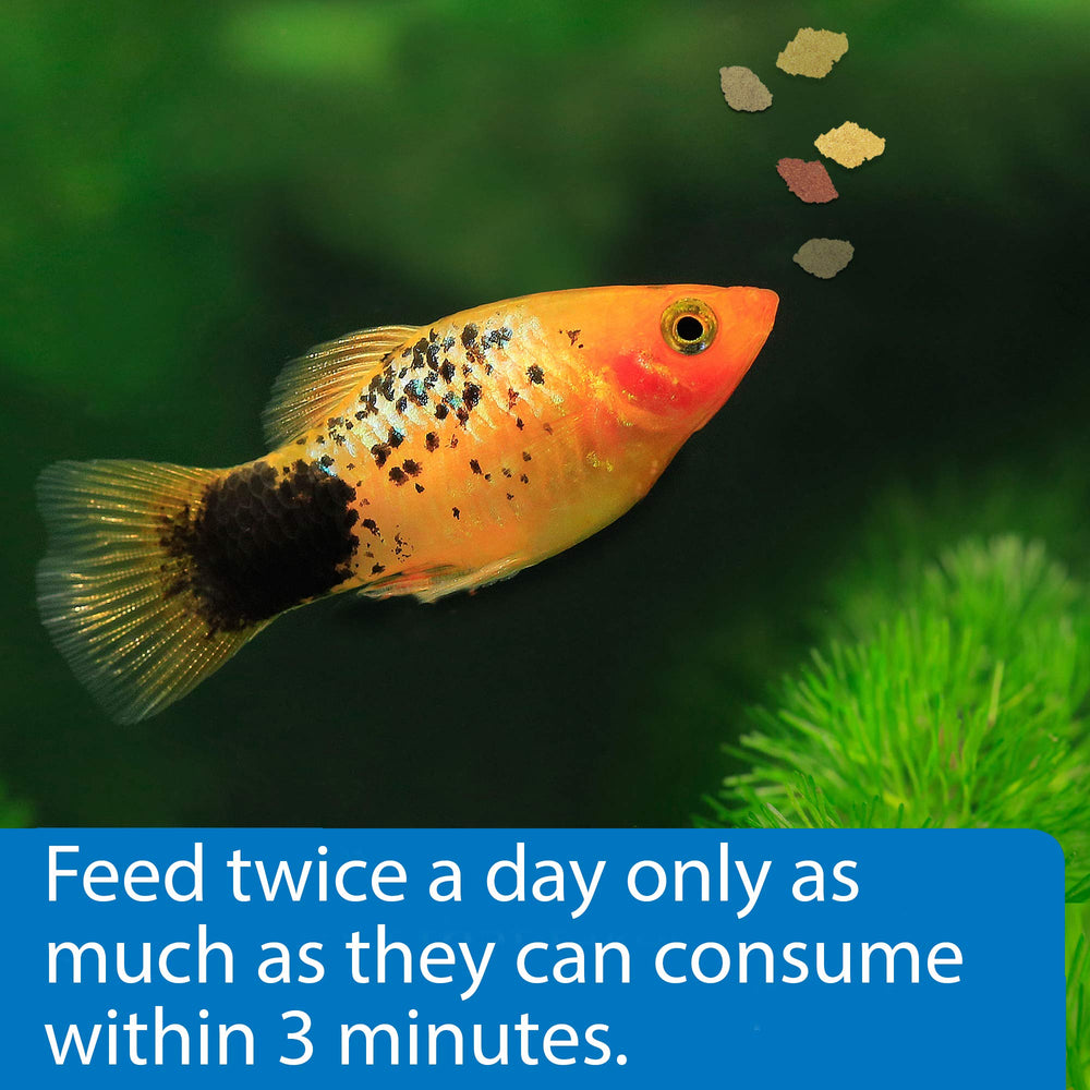 API Tropical Flakes: apto para peces tropicales como tetras, guppies y peces ángel.