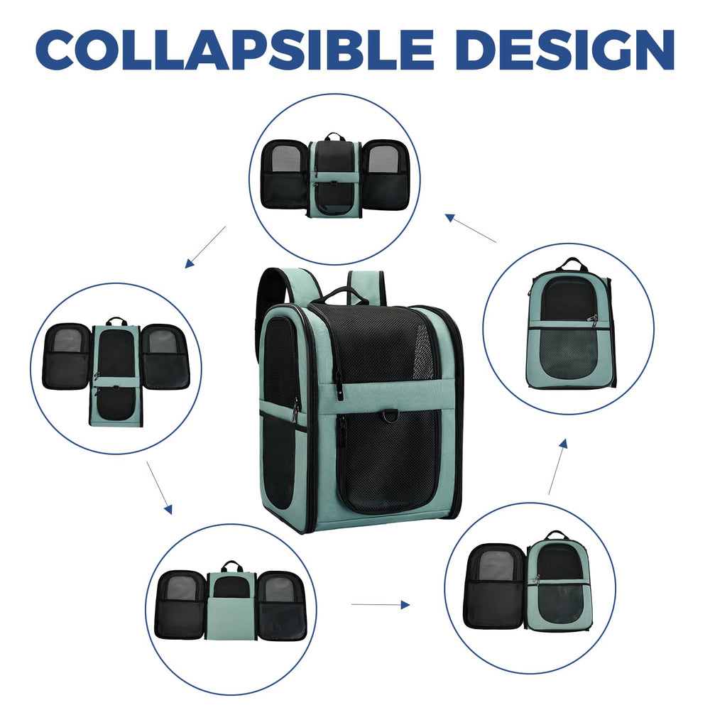 Apollo Walker blue back panel and padded straps support comfortable carry on long walks