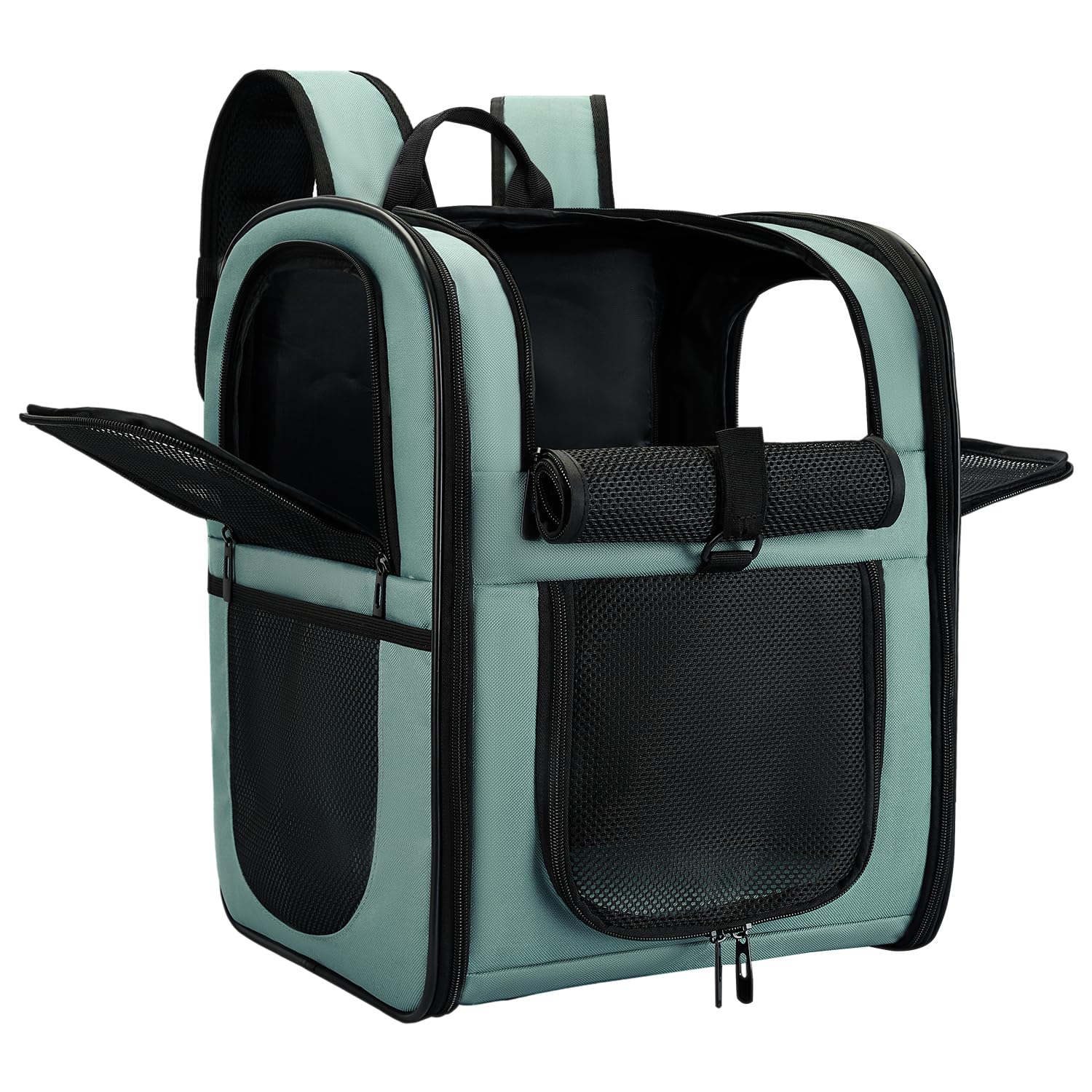 Apollo Walker dog cat carrier backpack blue front view for comfortable transport on hikes