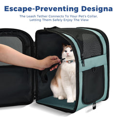 Apollo Walker blue interior padded area keeps pets comfy during vet visits and outings