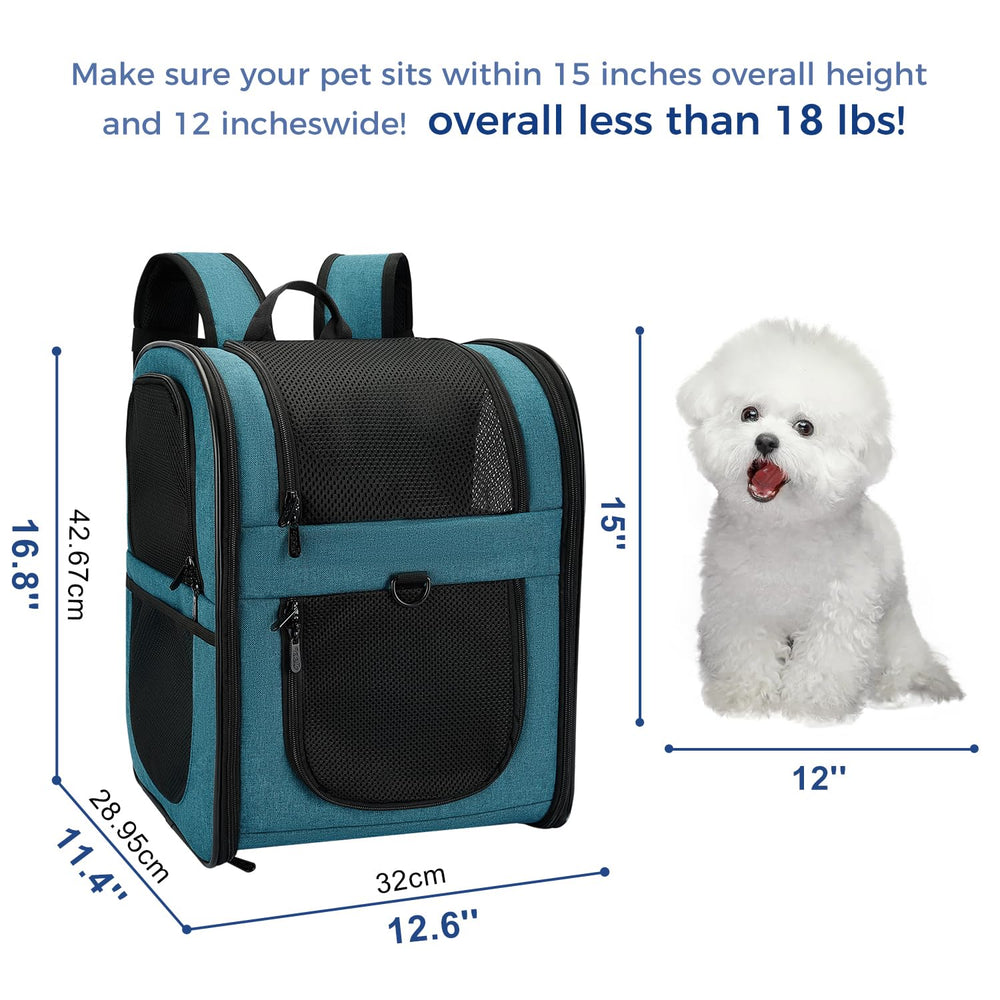 Apollo Walker teal carrier backpack front view highlighting secure dual-lock zippers
