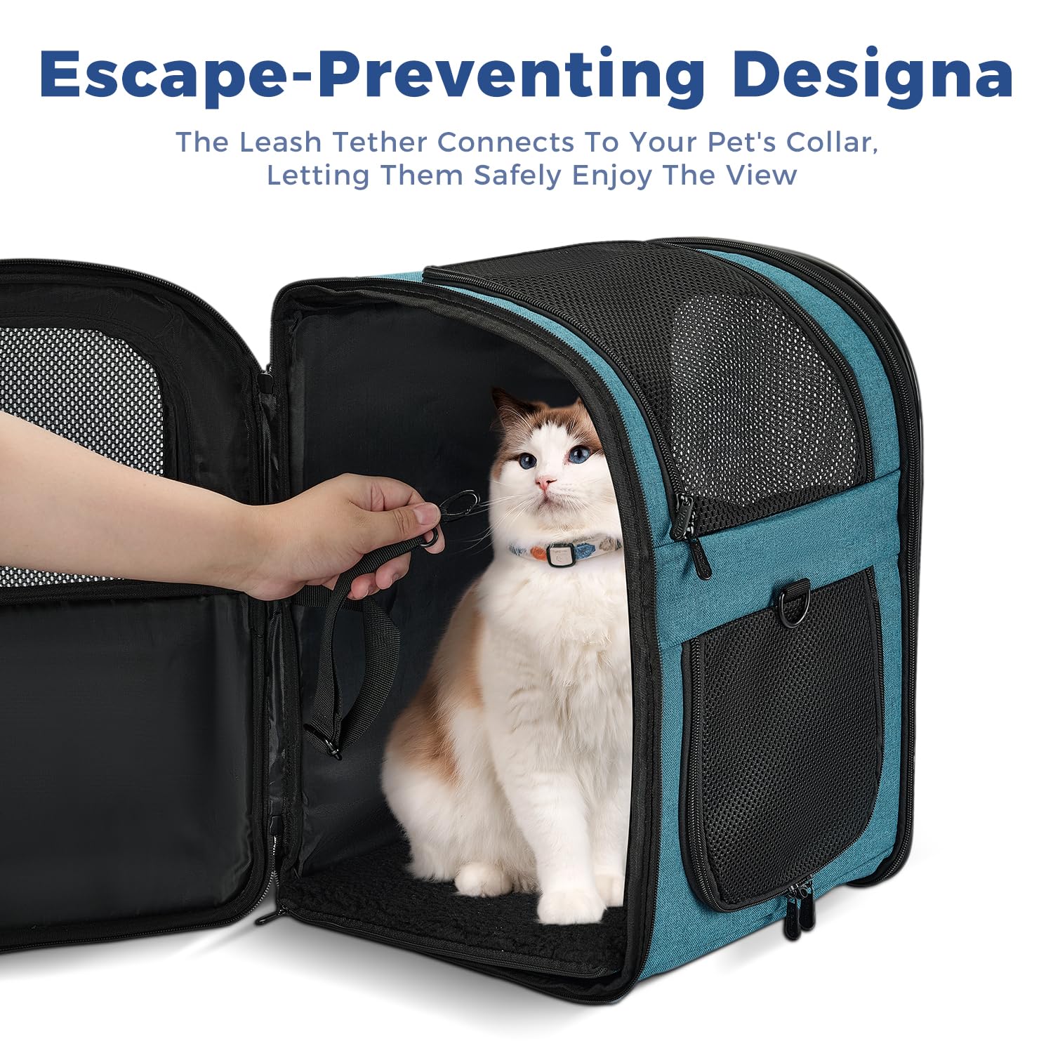 Apollo Walker teal interior view with padded walls for pet comfort during travel
