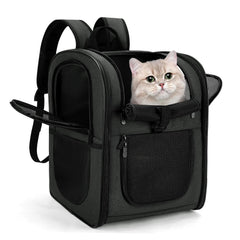 Apollo Walker dog-cat carrier backpack with secure transport for hiking and travel