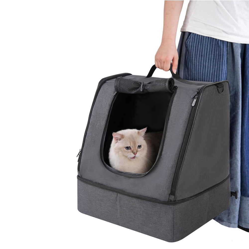 Apollo Walker includes small scoop and collapsible bowl for on the go needs.