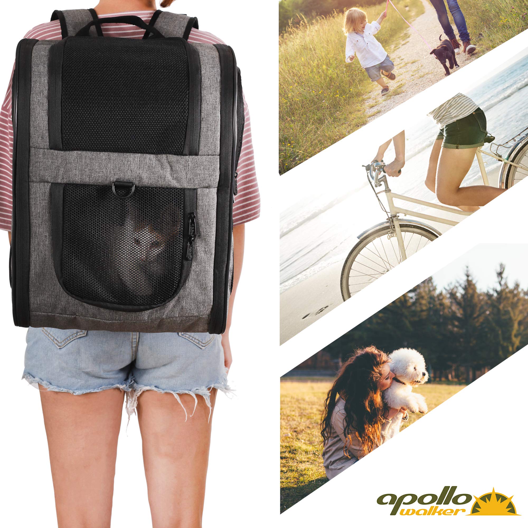 Apollo Walker carrier supports pets up to 18 pounds for versatile travel