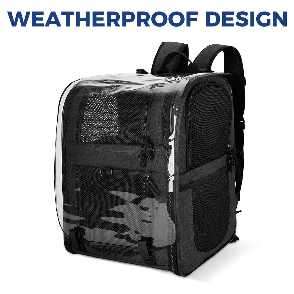 Apollo Walker pet carrier backpack claw-proof mesh with reinforced zippers for security.