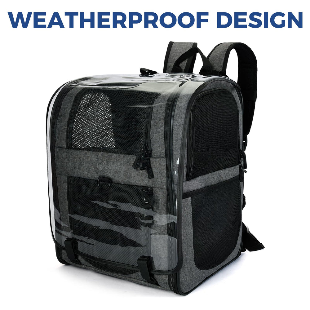 Apollo Walker pet carrier backpack escape-proof design keeps pets secure during travel.