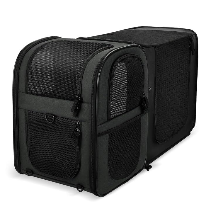 Apollo Walker pet carrier backpack expanded resting space for pets during travel.