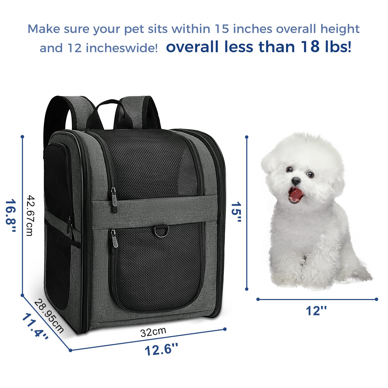 Apollo Walker carrier interior with pet and padding for comfortable rides
