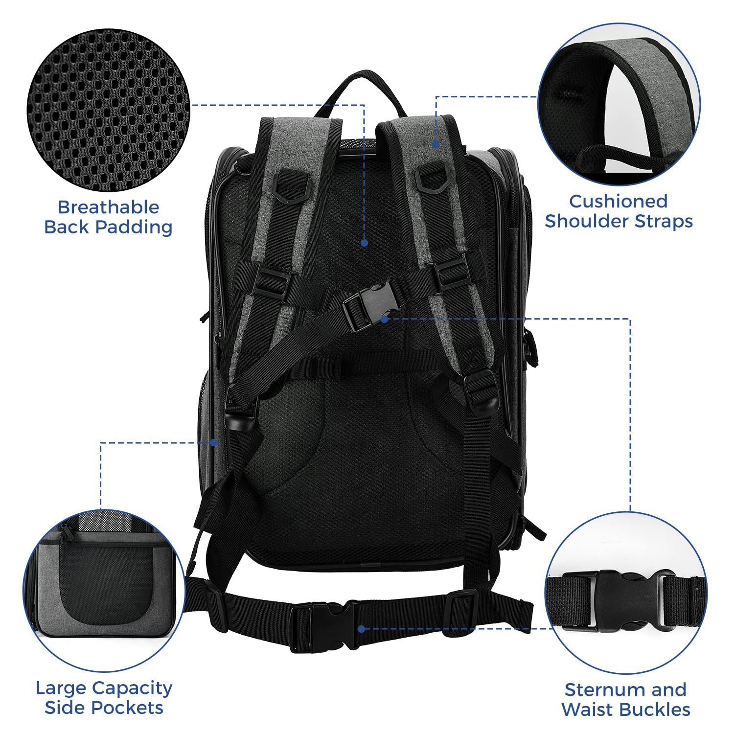 Apollo Walker pet carrier backpack thick padded straps reduce shoulder strain.