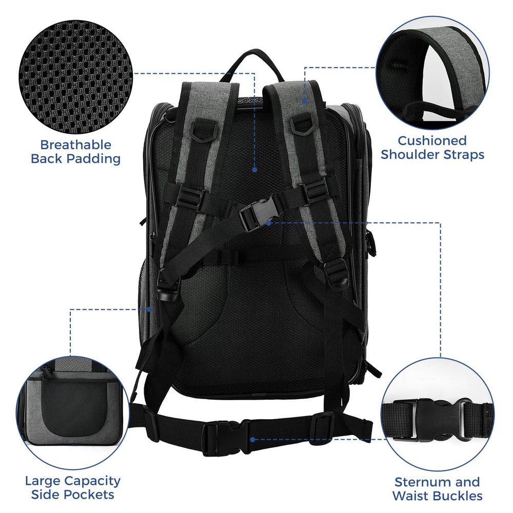 Apollo Walker pet carrier backpack thick padded straps reduce shoulder strain.