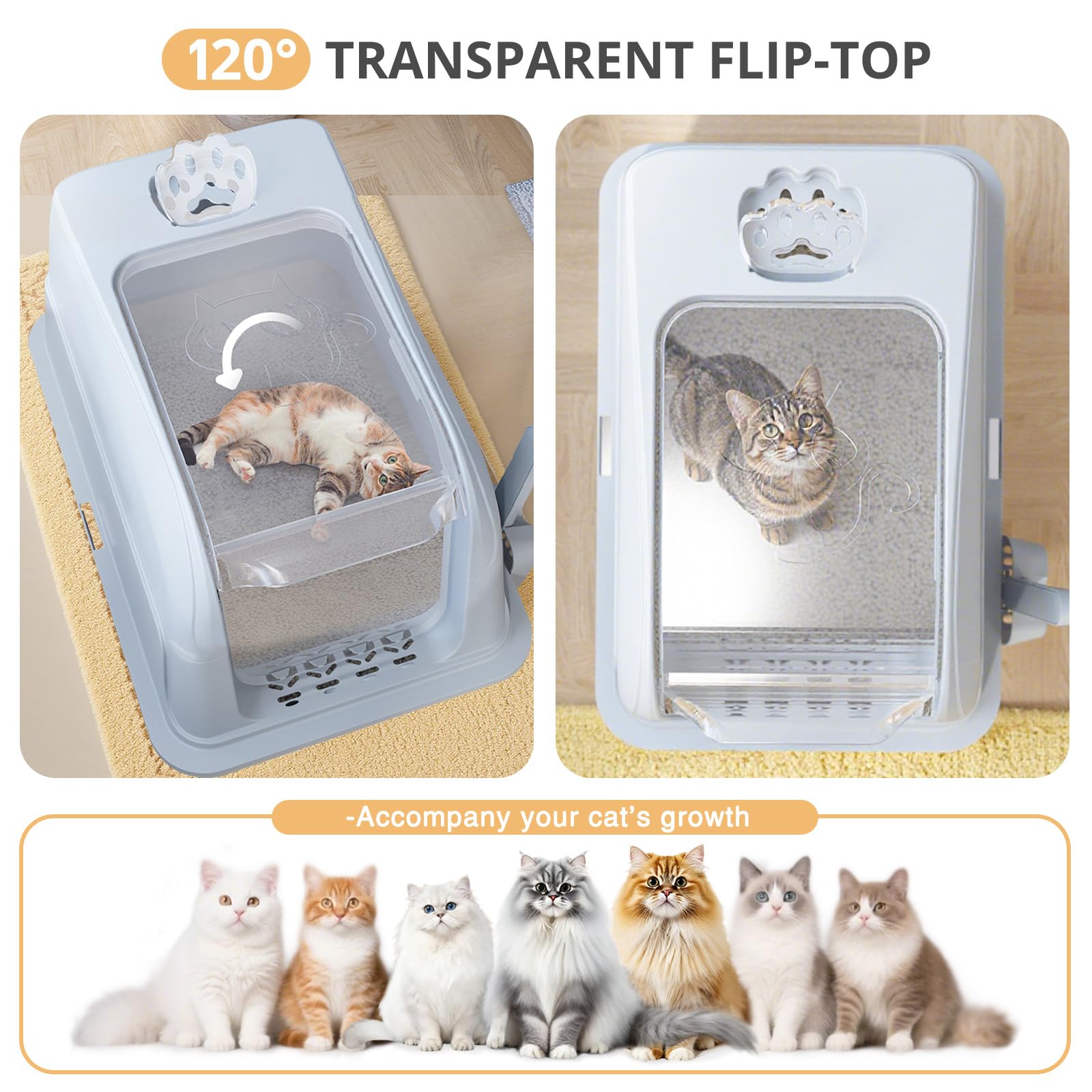 APPKER extra large 24 by 16 by 17 inch box fits multi cat homes.