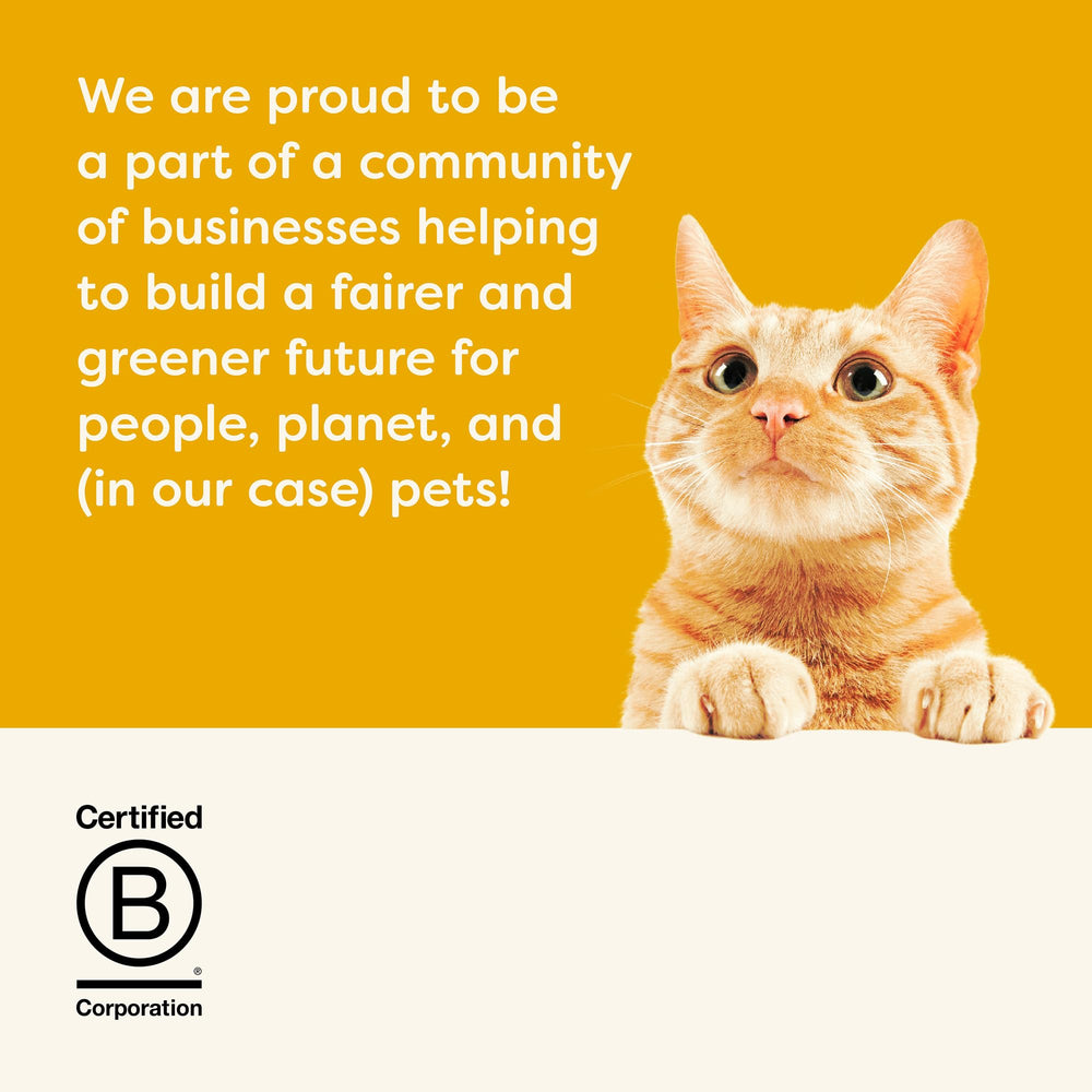Applaws brand packaging on shelf – trusted natural ingredients from a B Corp-certified brand.