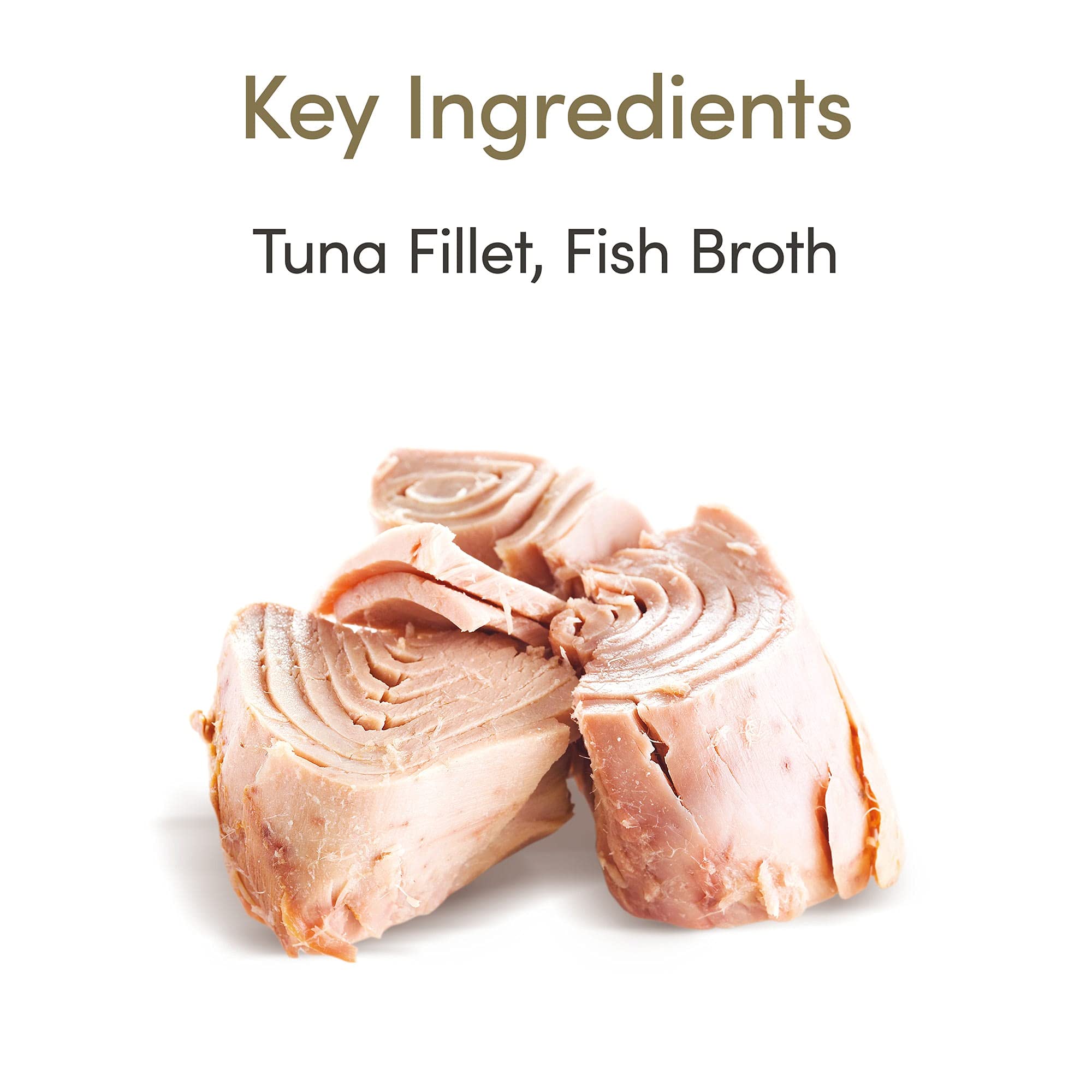 Applaws tuna flakes in gravy being poured to highlight savory texture.