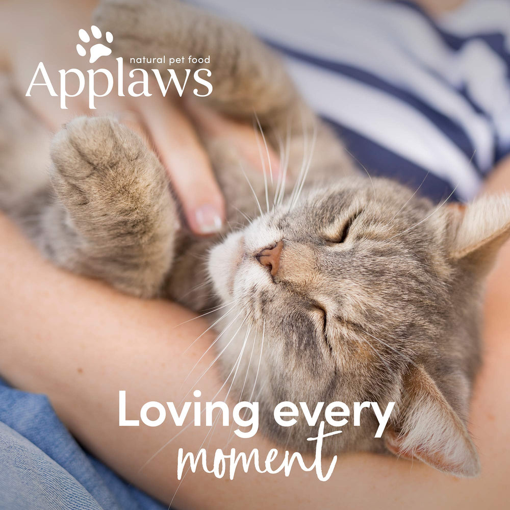 Applaws taste adventure textures—variety to keep meals exciting for picky eaters.