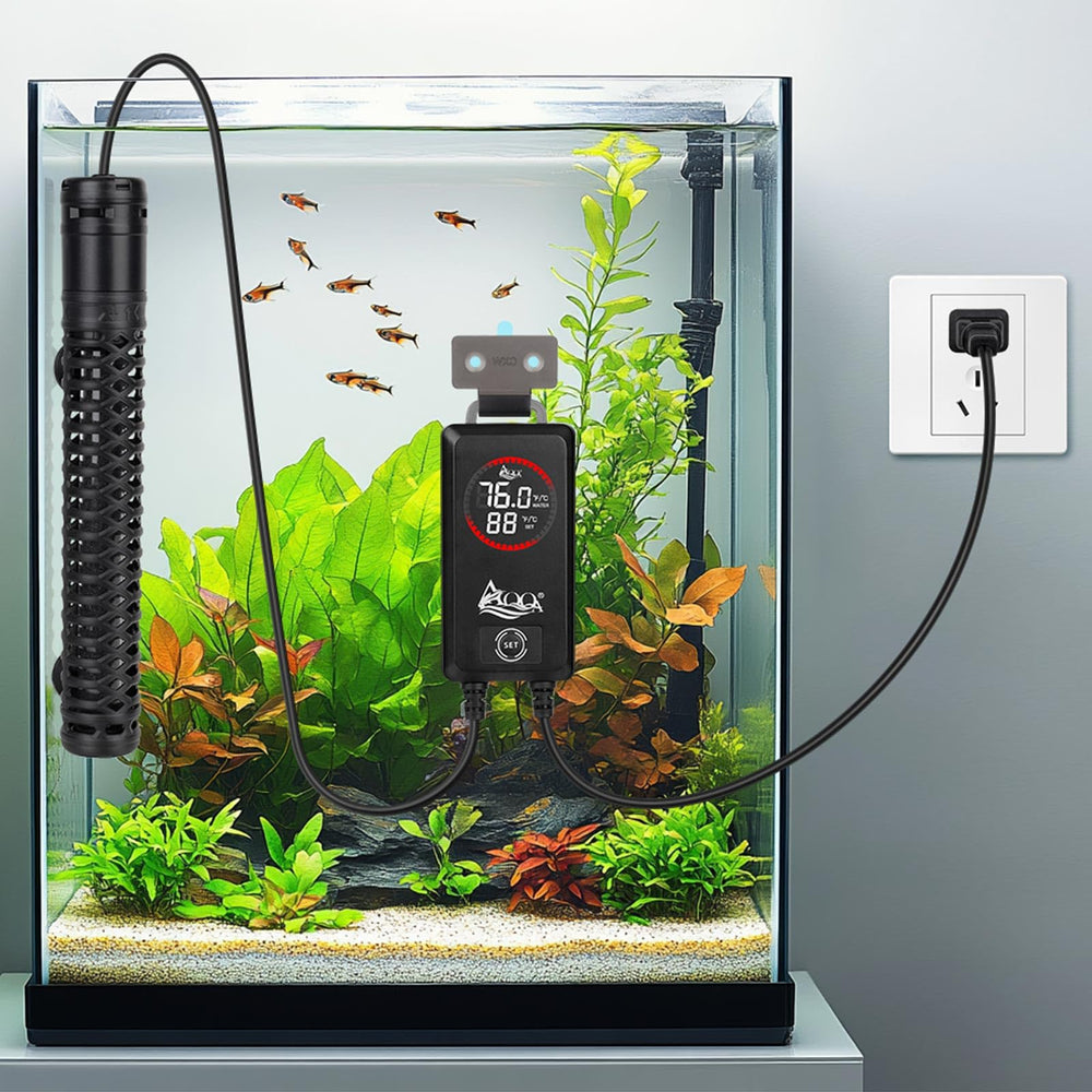 AQQA 800W heater includes a 2-year warranty.