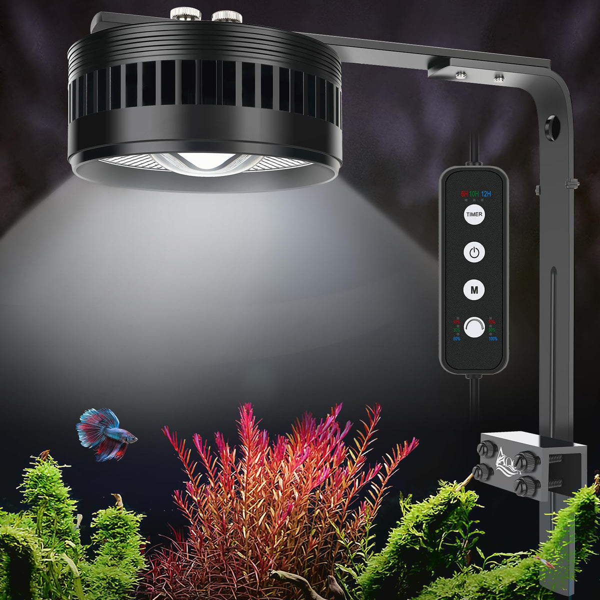 AQQA clip-on stream light clamp provides secure mounting and illumination.