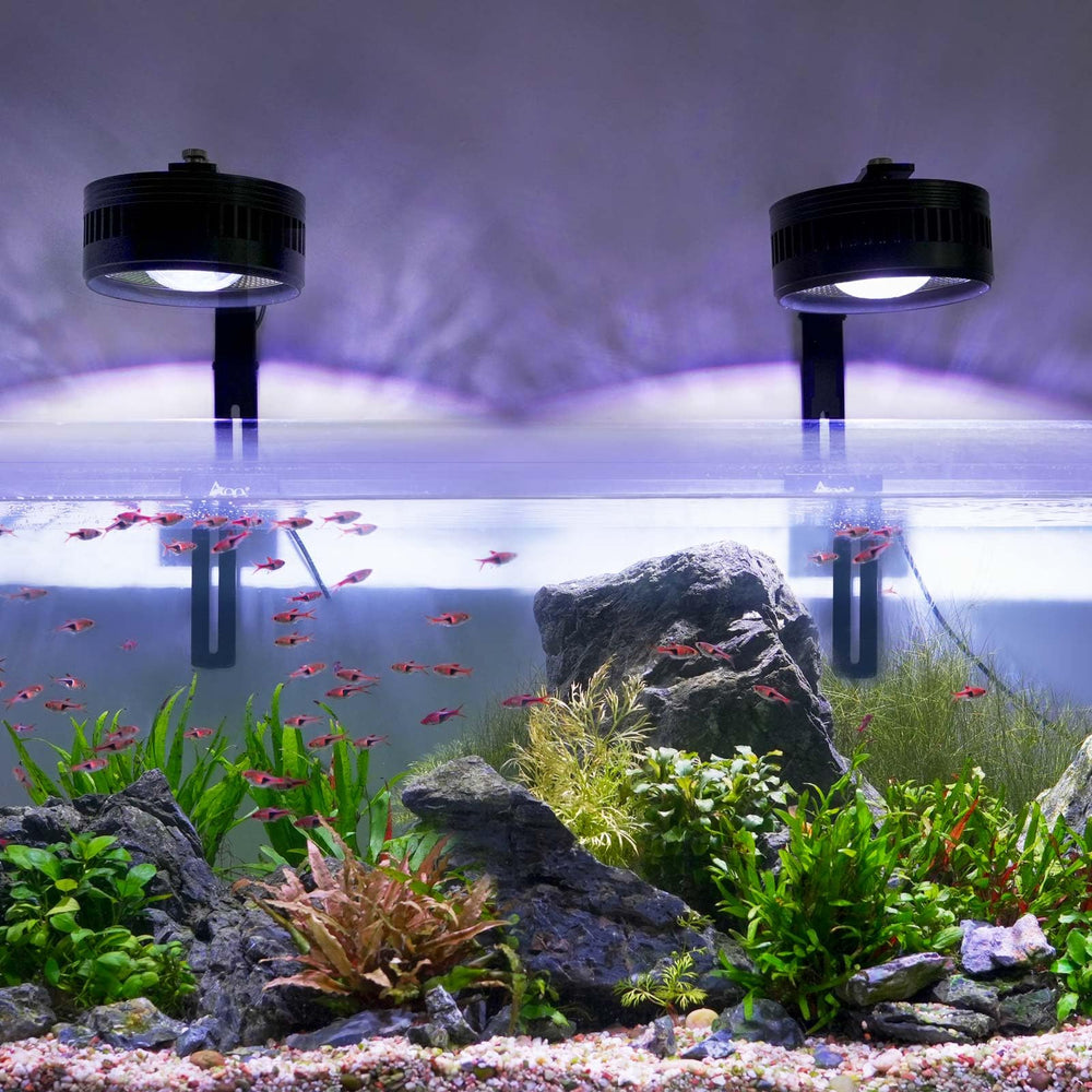 AQQA clip-on stream light high borosilicate lens delivers crisp penetration.