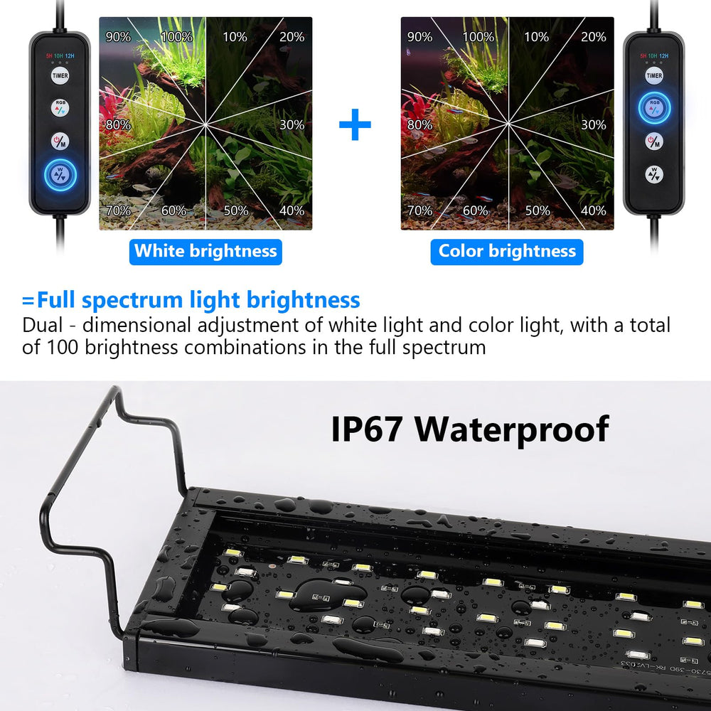AQQA white and colored brightness setting highlights tank colors and plant visibility.