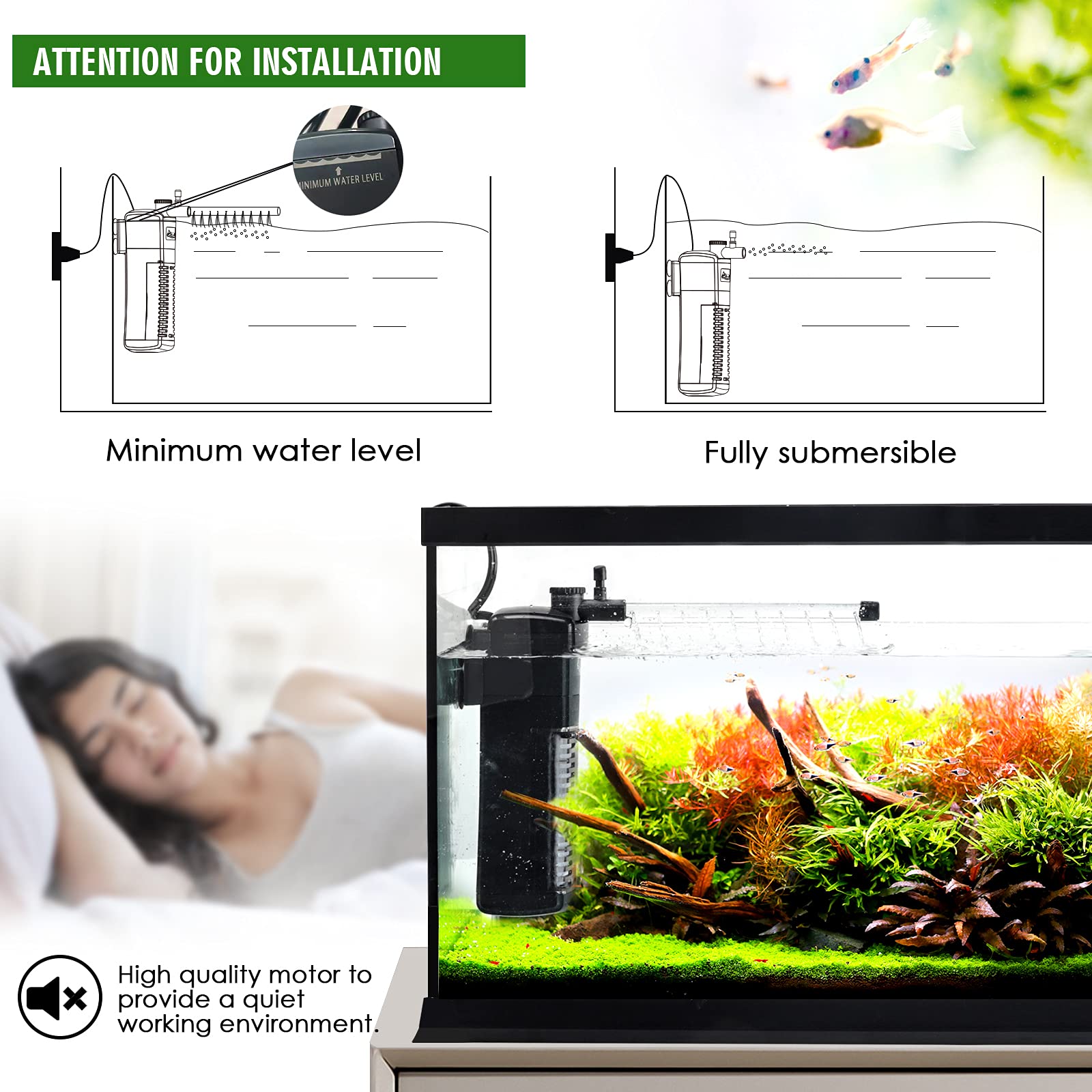 AQQA ultra quiet motor keeps aquarium ambiance peaceful for night-time viewing.