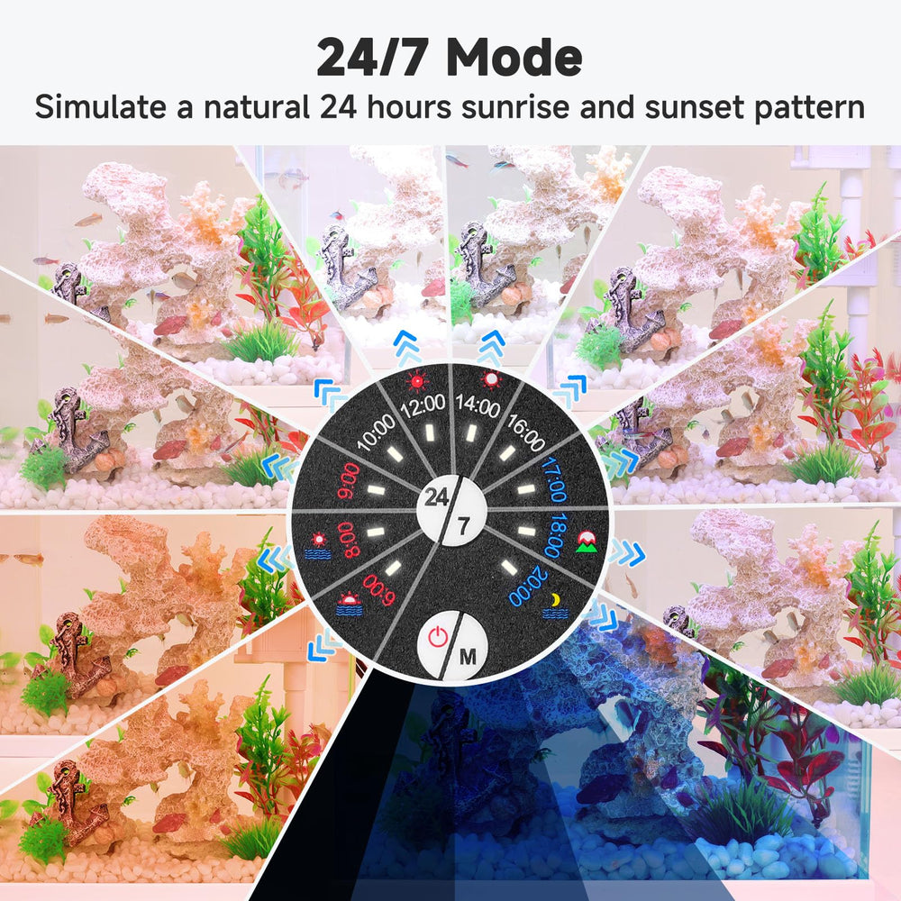 AQQA LED Aquarium Light 24/7 sunrise-sunset cycle demonstrates natural day-night transition.