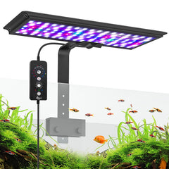 AQQA LED Aquarium Light front view provides bright, even illumination for vivid fish colors.