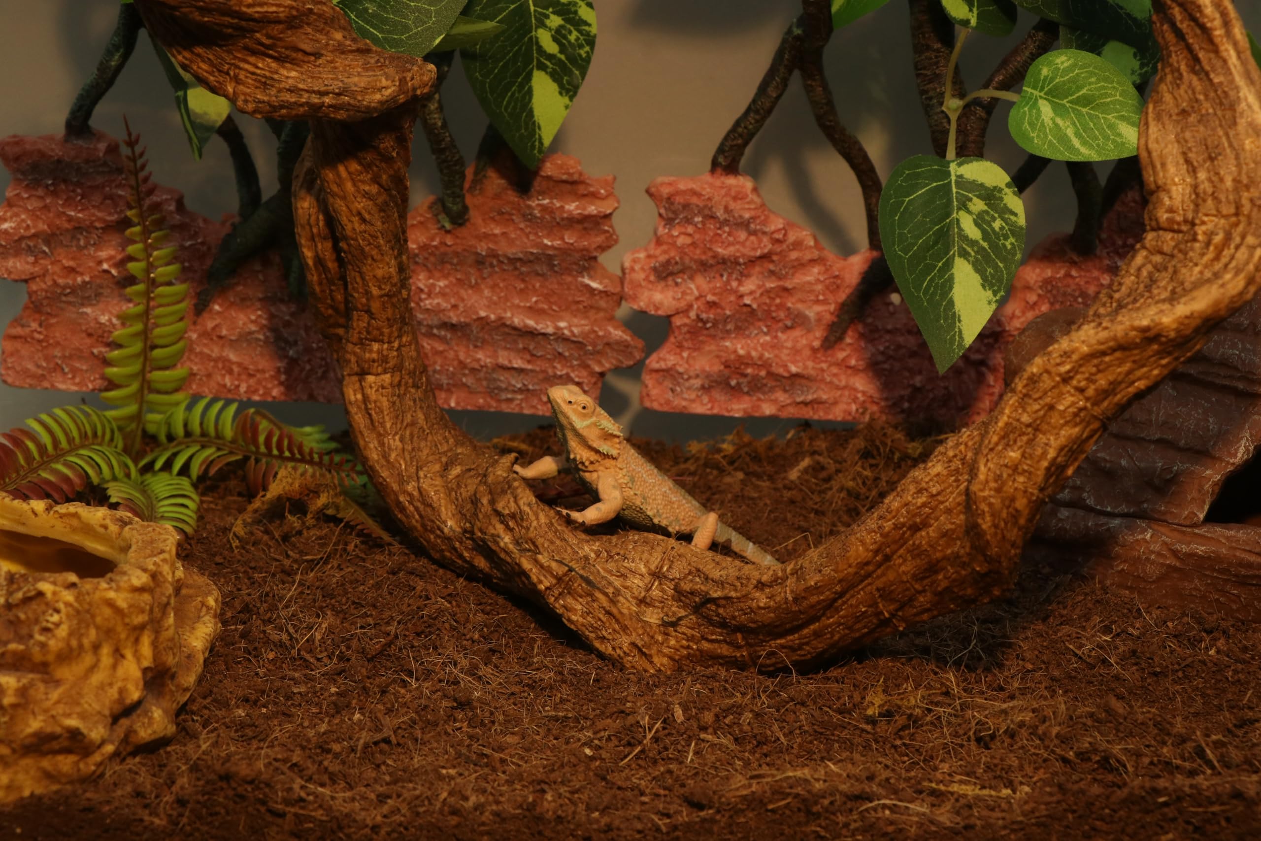 AQUA KT anti-slip surface provides stable climbs for reptiles