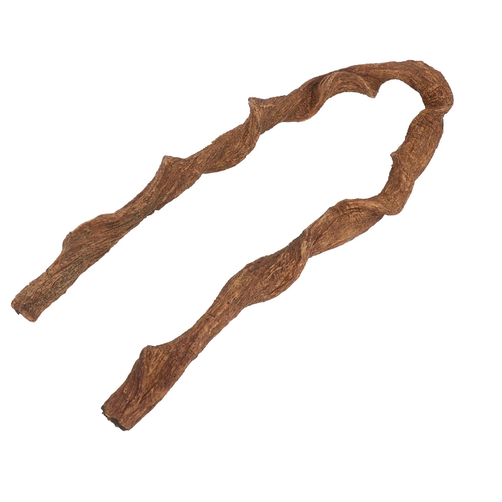 AQUA KT crested gecko lizard branch for climbing