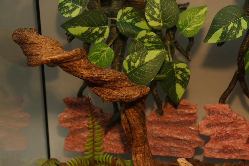 AQUA KT jungle vine terrarium decor boosts tank aesthetics