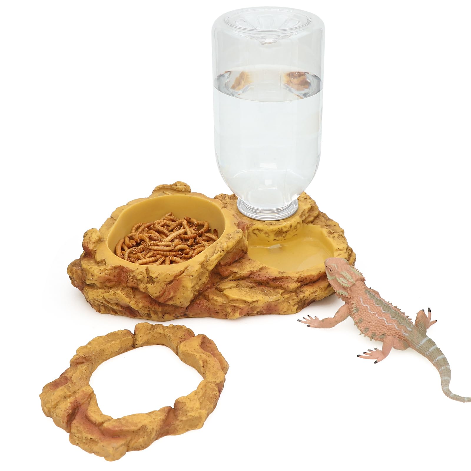 AQUA KT mealworm feeding bowl keeps enclosure clean and organized