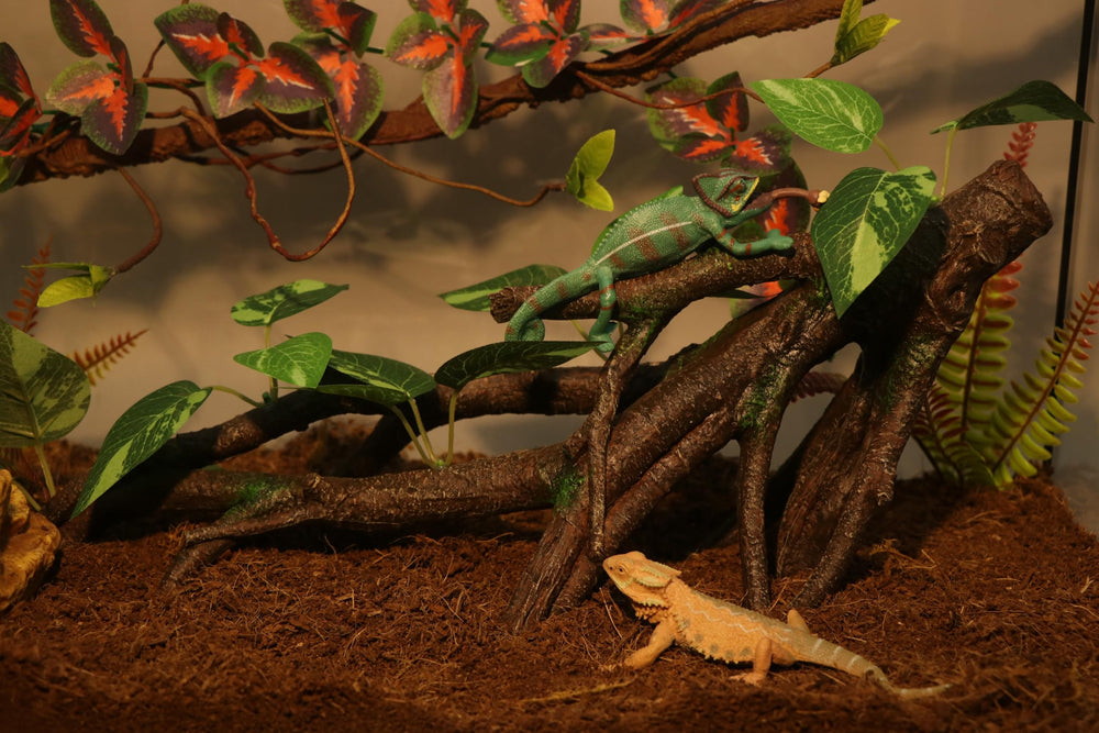 AQUA KT leaves closeup highlights resin texture and leafy camouflage for reptiles