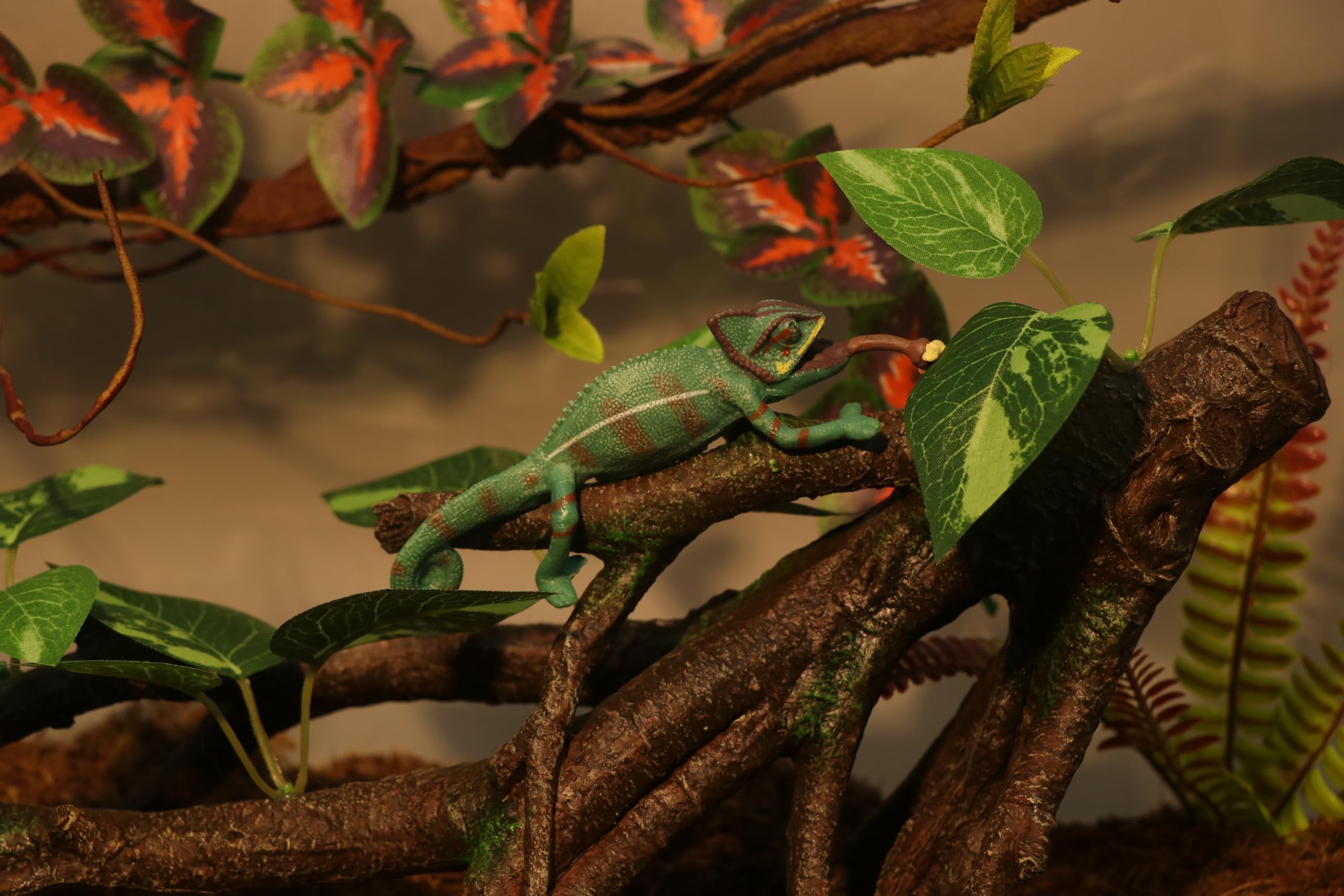 AQUA KT branch side view shows smooth surface safe for gentle reptile contact
