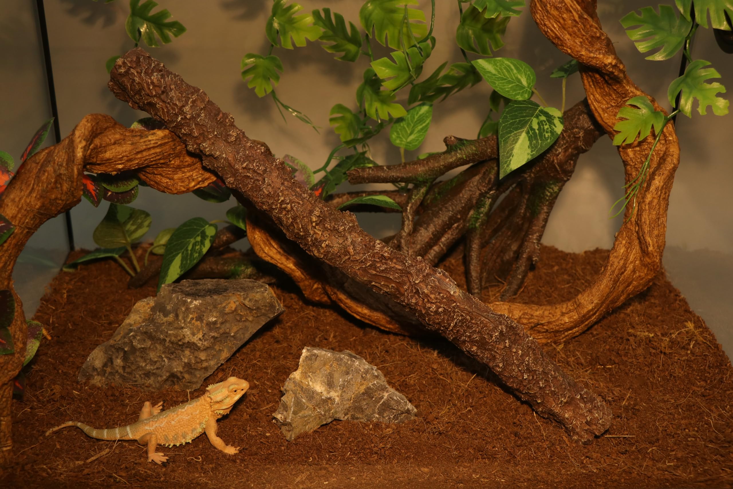 AQUA KT climbing stick in a terrarium blends with natural decor and enriches climbing spaces.