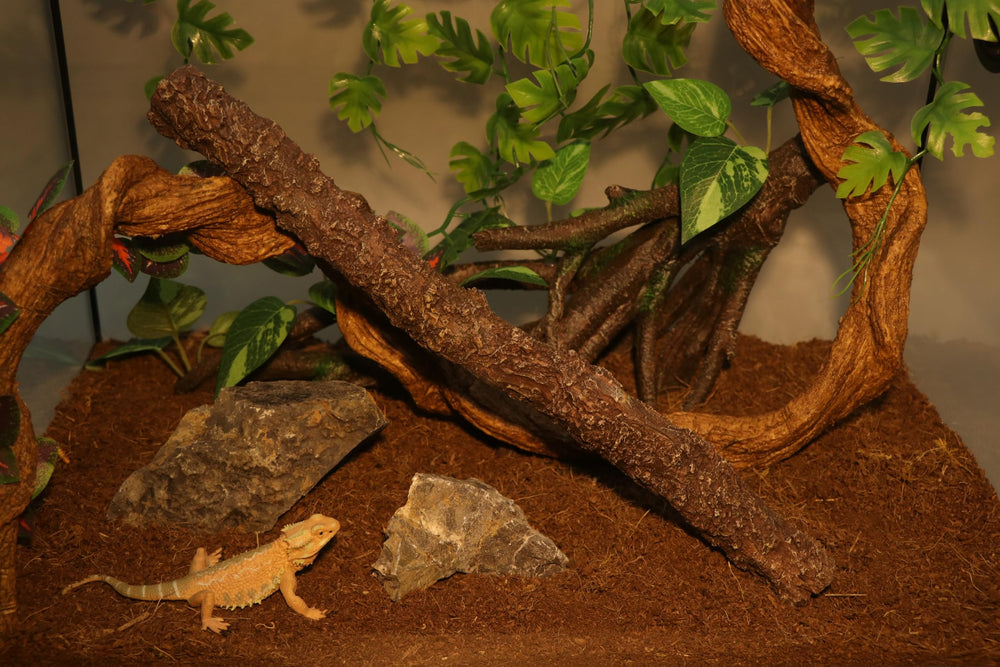 AQUA KT climbing stick in a terrarium blends with natural decor and enriches climbing spaces.
