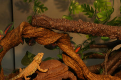 AQUA KT corner tree branch side view demonstrates compact design for small reptile habitats.
