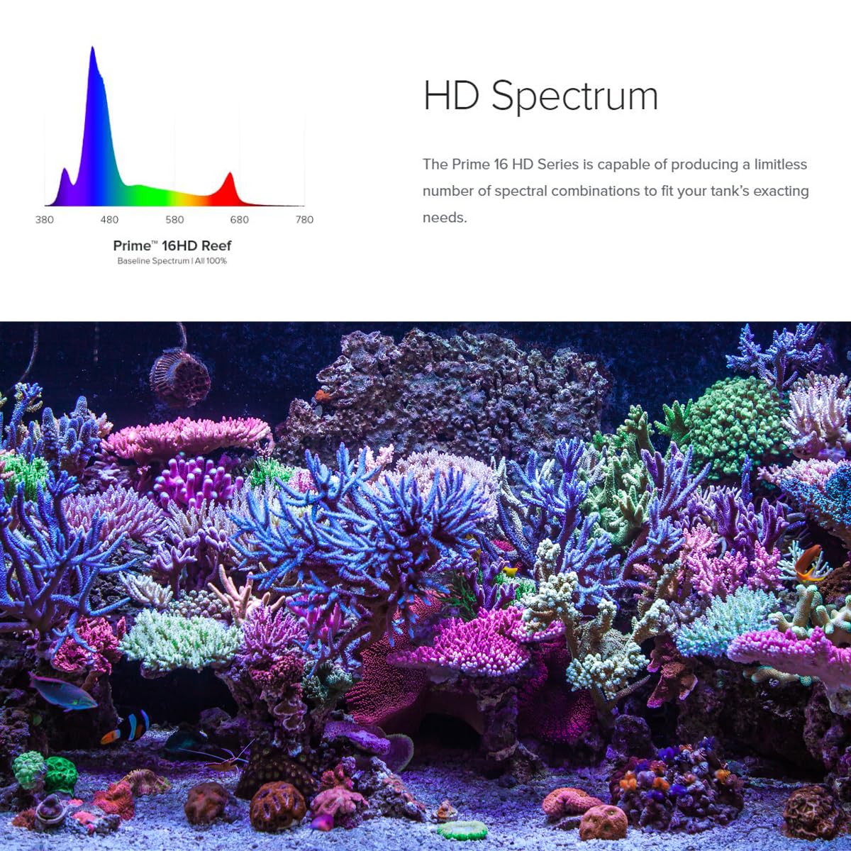 AquaIllumination Prime 16 HD spectrum-control lets you tailor colors for vibrant reef color.